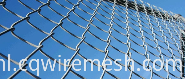 Hoogwaardige 50 mm diamantgat draad schermen gaas (WFM)